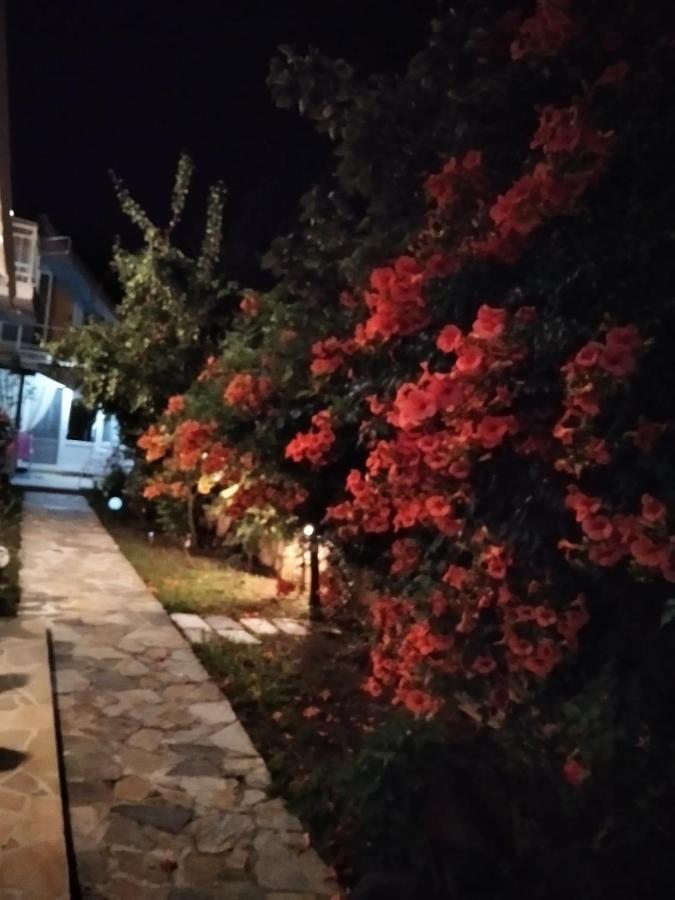 Villa Alekos Liménas Eksteriør bilde
